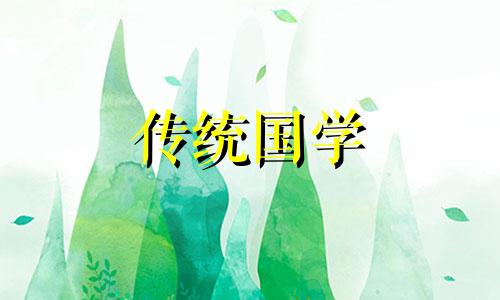 2024年属兔的命运怎么样 2024年兔年命咋样