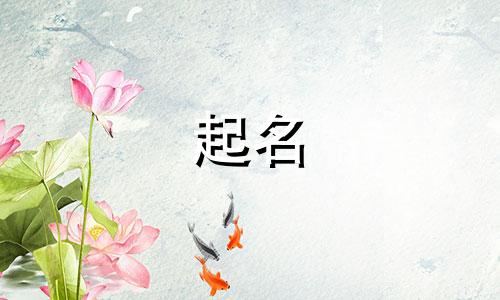 父姓周母姓戴宝宝名字大全