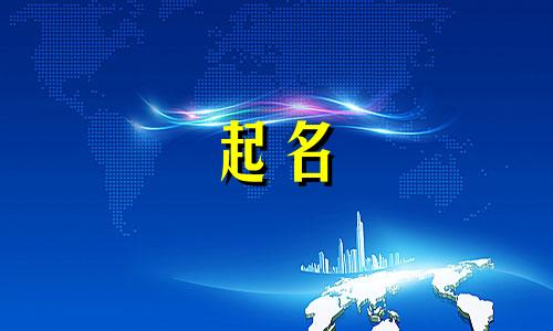 以连字取个电梯装潢公司名字怎么取