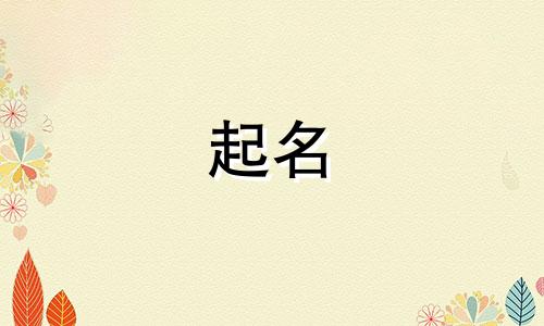 公司名字叫龙什么年轻人好听