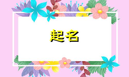 带卫字开头的公司名字大全