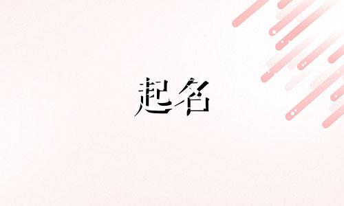 商标事务所公司名字有哪些带厚字的