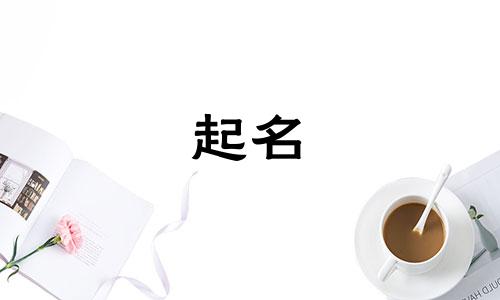 求一个带首字的公司名字大全