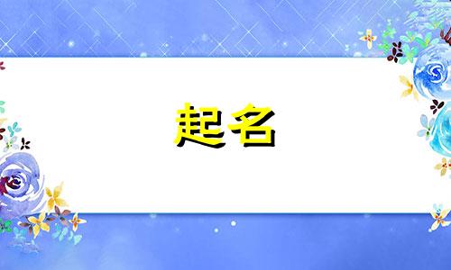 四字带上字的企业名字大全