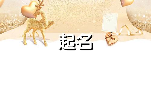 视字开头的三字公司名字怎么取