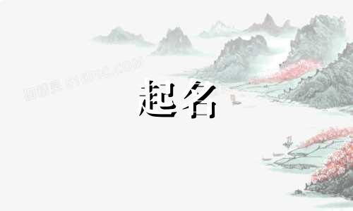 五行属木的公司名字新潮怎么取