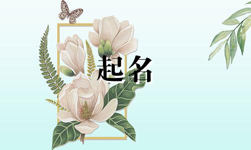 公司名字用泉字开头起什么好听