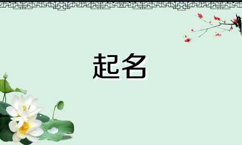 五行属金的优美公司名字大全