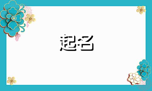 带融两字公司名字大全四个字