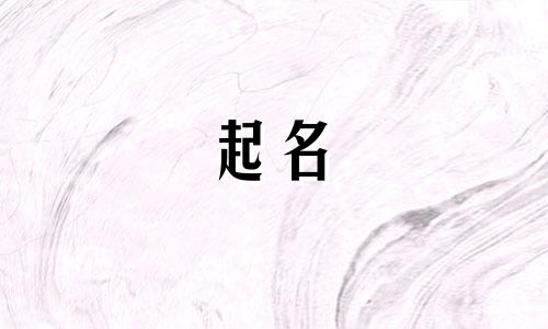 带珠字公司取名字大全女孩