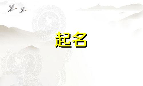 带三字起公司名字大全四个字