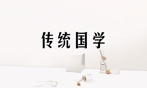 大象12生肖的代表是哪一个动物