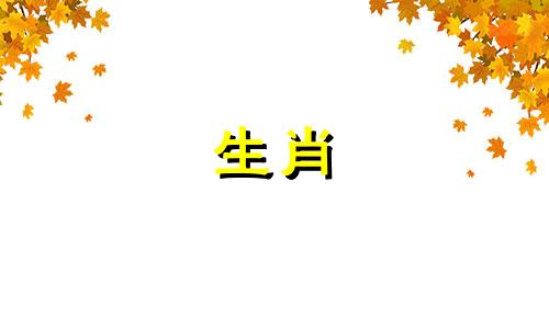 94年狗与96年属相配吗2021年结婚好吗