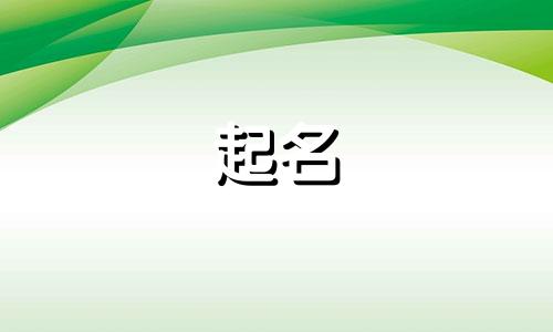 权姓男孩名字2024年属兔起名大全