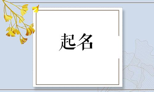 薛姓女孩名字2024年属兔起名字