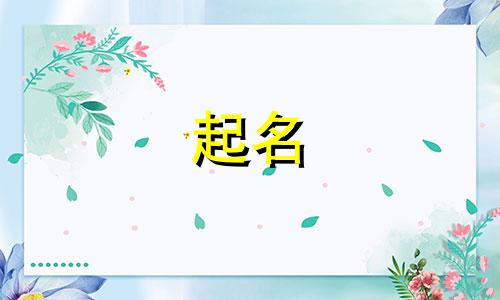 爸爸姓何妈妈姓夏给孩子起名叫什么好听点