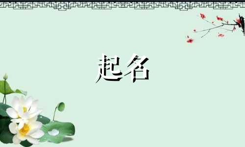 爸姓丁妈姓江宝宝名字大全