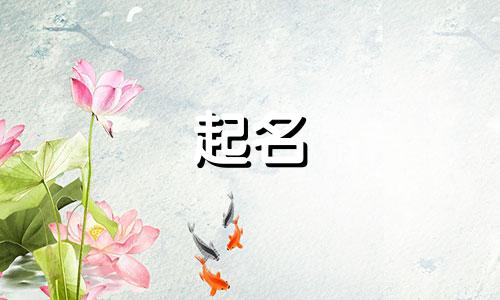 姓贺双胞胎取什么名字好 我家孩子姓贺取个什么名字好