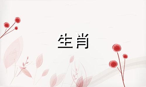 虎和兔属八字合不合婚配的完美契合