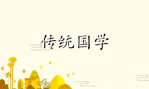 风水上铁树的寓意是什么意思