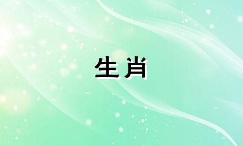 今日生肖运势2024年2月2日解析视频