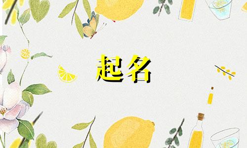 起名带年字的企业名字大全