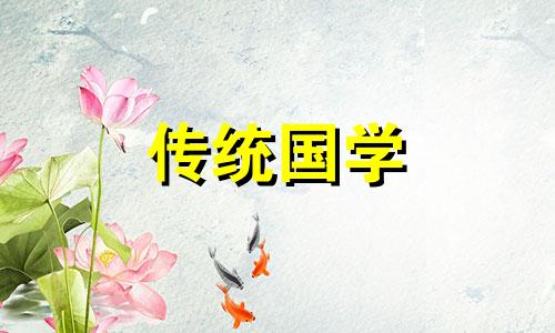 养绿萝的风水禁忌有哪些呢