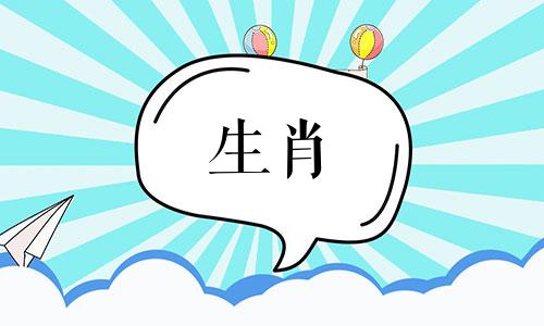 今日生肖运势2024年2月7日解析视频