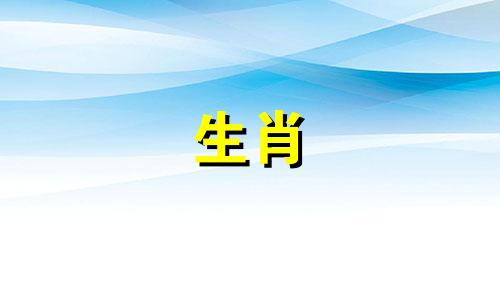 生肖龙2024年全年运势及运程详解视频