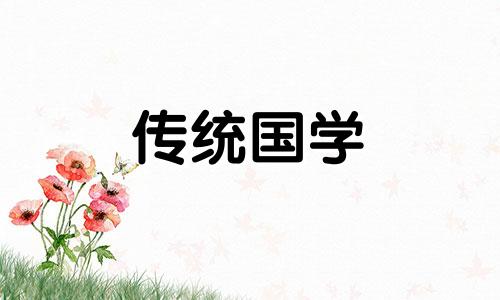 无患子手串多少颗合适女士戴