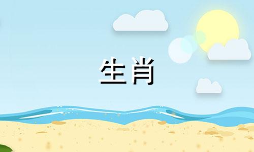 每日生肖运势2024年2月7日好吗视频