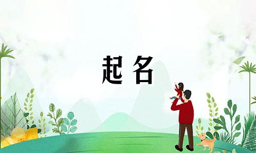 爸姓武妈姓蔡宝宝名字大全