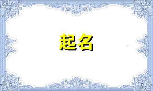 塑料容器公司名字大全 好听的塑料公司名字