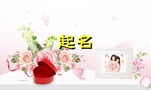 荀姓女孩名字2024年属兔起名大全