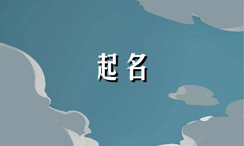 之字开头起公司名字大全 带之字的公司名字