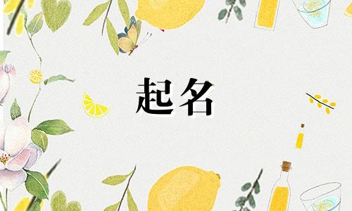 老公姓宋我姓丁怎么取名字好听