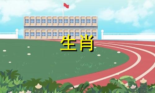 属虎2024年2月11日今日运势如何呢