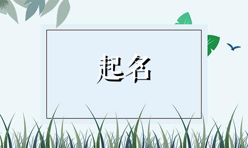 2024年苗姓女宝宝取名大全两个字的名字有哪些