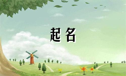 武姓和韩姓怎么给孩子起名?男孩名字