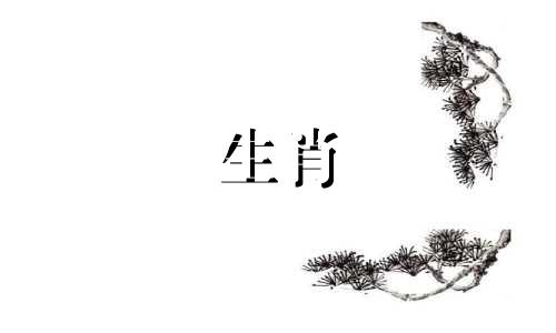 今日生肖运势2024年2月17日解析视频