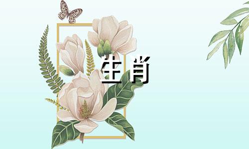 花痴指数直线上升的生肖女