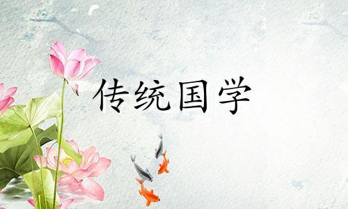 属龙的人办公室风水有什么讲究吗