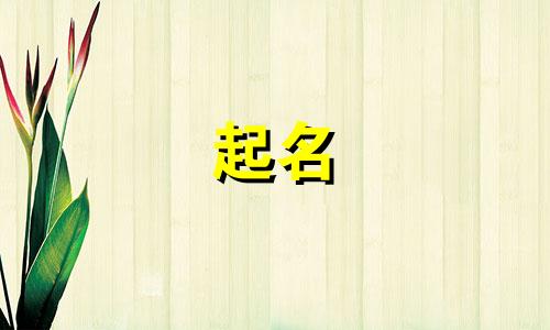 帝姓男宝宝取什么名字好听