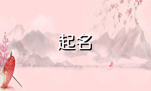 爸姓宋妈姓孙宝宝名字大全