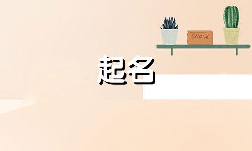 守姓女孩名字2024年属龙起名字