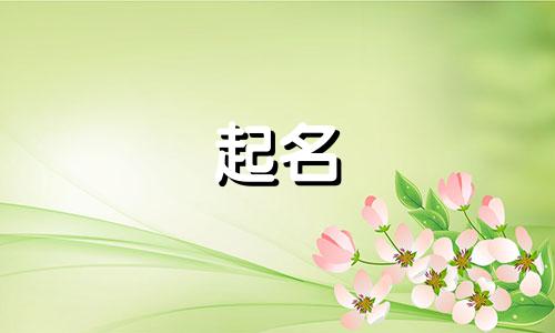 姓段宝宝名字男孩起什么名字好