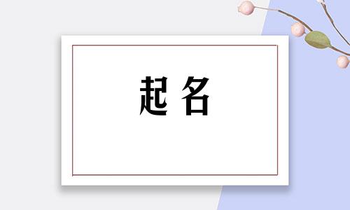 皮姓女孩名字2024年属龙起名字