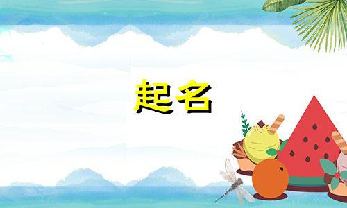 男宝宝取名杨承什么好听点