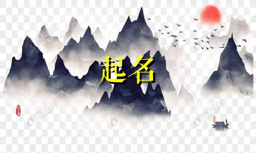 农村蔬菜公司怎么起名字好听