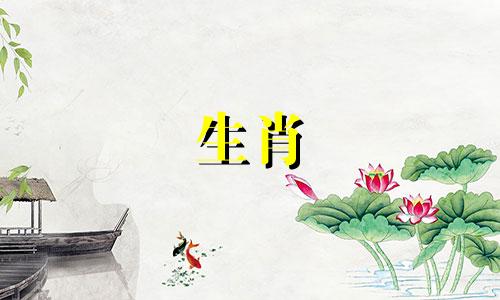 属鸡女2024年初有望开启新恋情吗